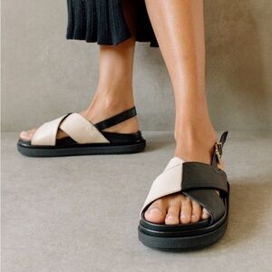 ALOHAS Marshmallow Bicolor Black Ivory